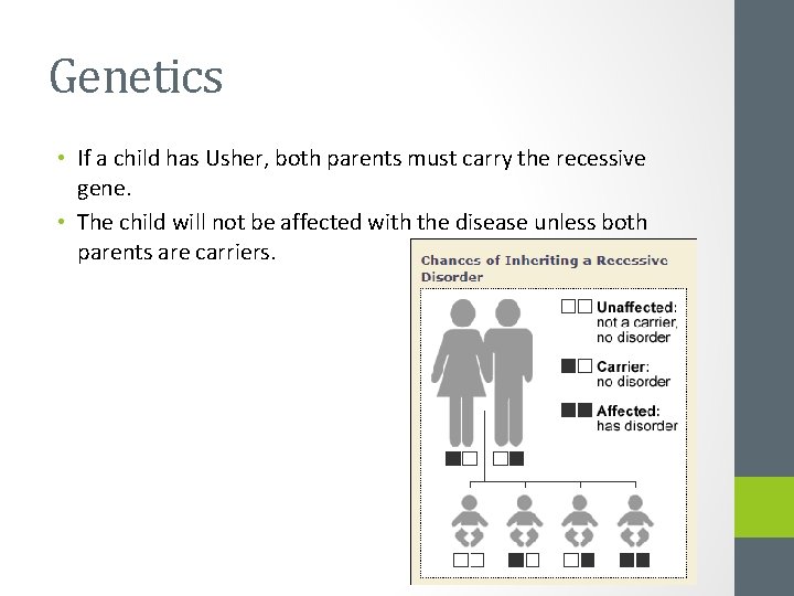 Genetics • If a child has Usher, both parents must carry the recessive gene.