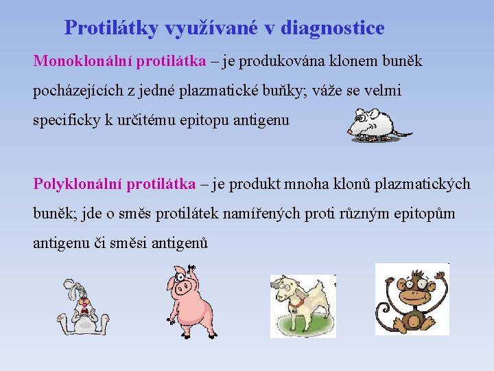 Protilátky využívané v diagnostice Monoklonální protilátka – je produkována klonem buněk pocházejících z jedné