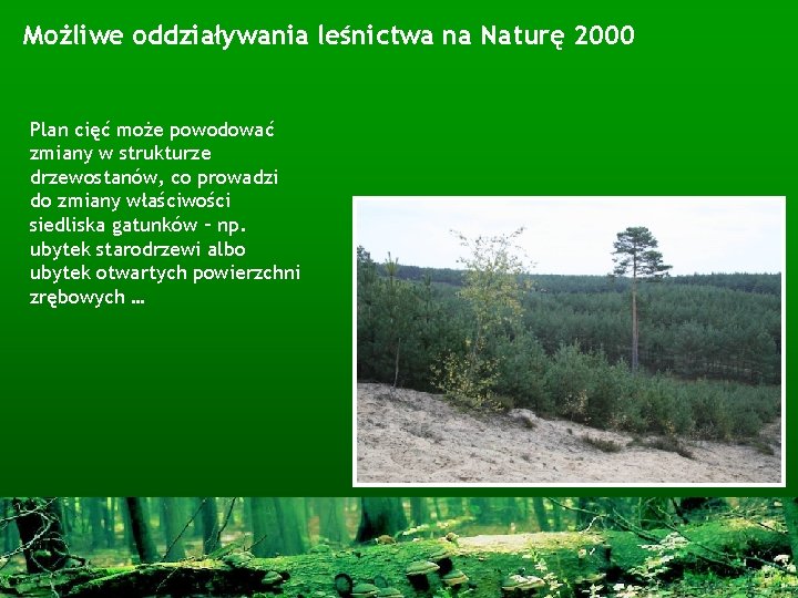 Możliwe oddziaływania leśnictwa na Naturę 2000 Plan cięć może powodować zmiany w strukturze drzewostanów,