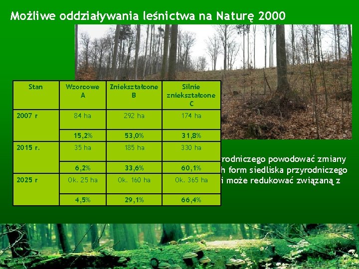 Możliwe oddziaływania leśnictwa na Naturę 2000 Stan 2007 r 2015 r. Wzorcowe A Zniekształcone