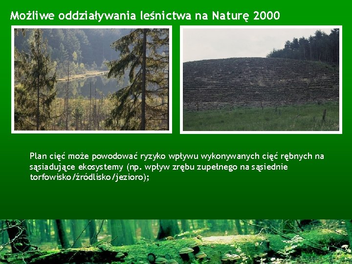 Możliwe oddziaływania leśnictwa na Naturę 2000 Plan cięć może powodować ryzyko wpływu wykonywanych cięć