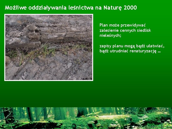 Możliwe oddziaływania leśnictwa na Naturę 2000 Plan może przewidywać zalesienie cennych siedlisk nieleśnych; zapisy