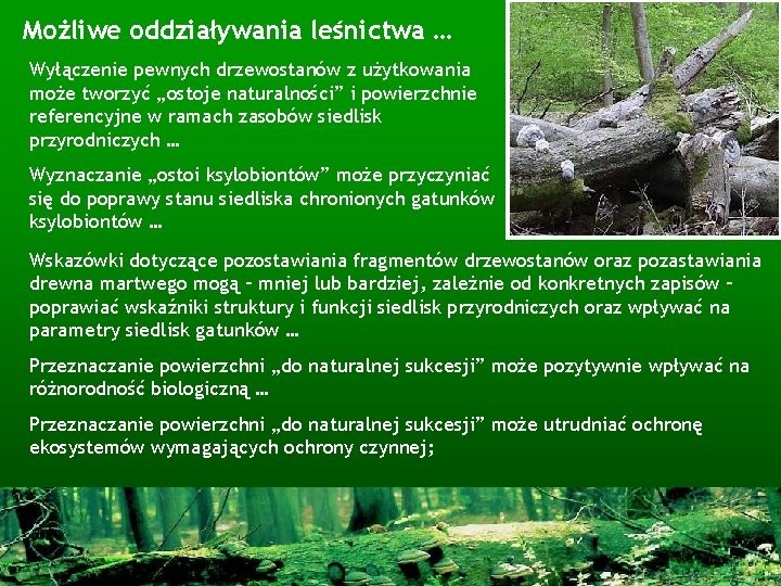 Możliwe oddziaływania leśnictwa … Wyłączenie pewnych drzewostanów z użytkowania może tworzyć „ostoje naturalności” i