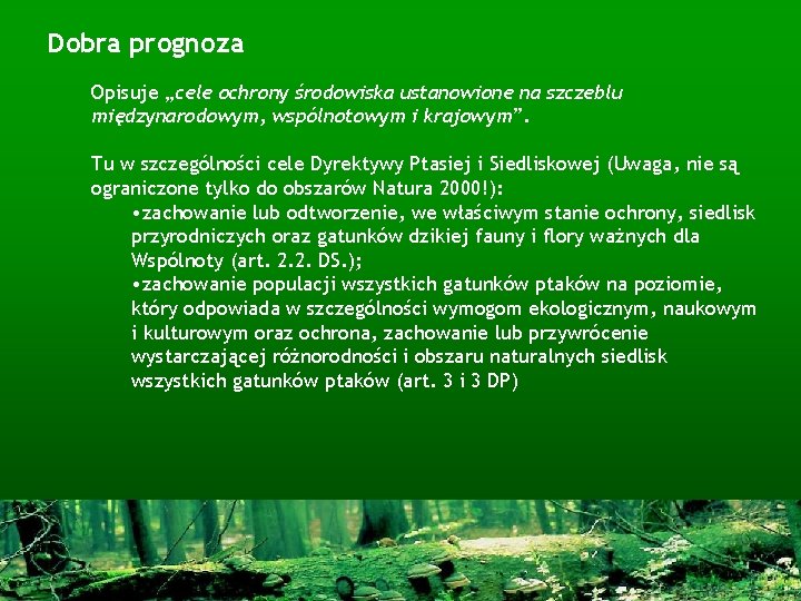 Dobra prognoza Opisuje „cele ochrony środowiska ustanowione na szczeblu międzynarodowym, wspólnotowym i krajowym”. Tu