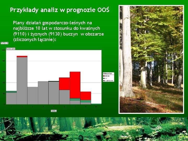 Przykłady analiz w prognozie OOŚ Plany działań gospodarczo-leśnych na najbliższe 10 lat w stosunku