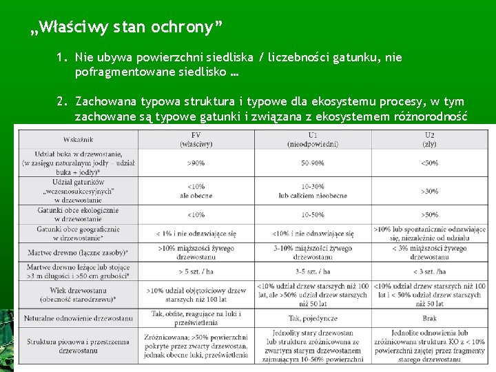 „Właściwy stan ochrony” 1. Nie ubywa powierzchni siedliska / liczebności gatunku, nie pofragmentowane siedlisko