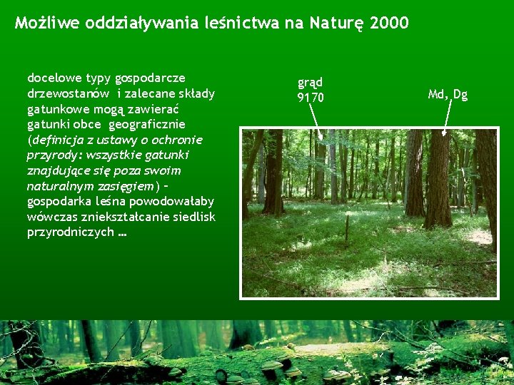 Możliwe oddziaływania leśnictwa na Naturę 2000 docelowe typy gospodarcze drzewostanów i zalecane składy gatunkowe