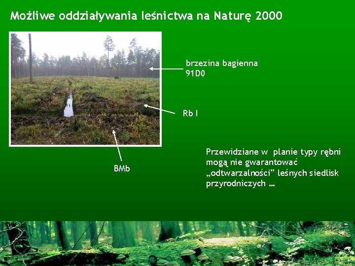 Możliwe oddziaływania leśnictwa na Naturę 2000 brzezina bagienna 91 D 0 Rb I BMb