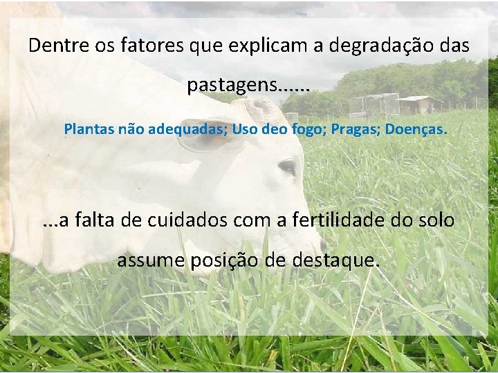 Dentre os fatores que explicam a degradação das pastagens. . . Plantas não adequadas; Dentre os fatores que explicam a degradação das pastagens. . . Plantas não adequadas;