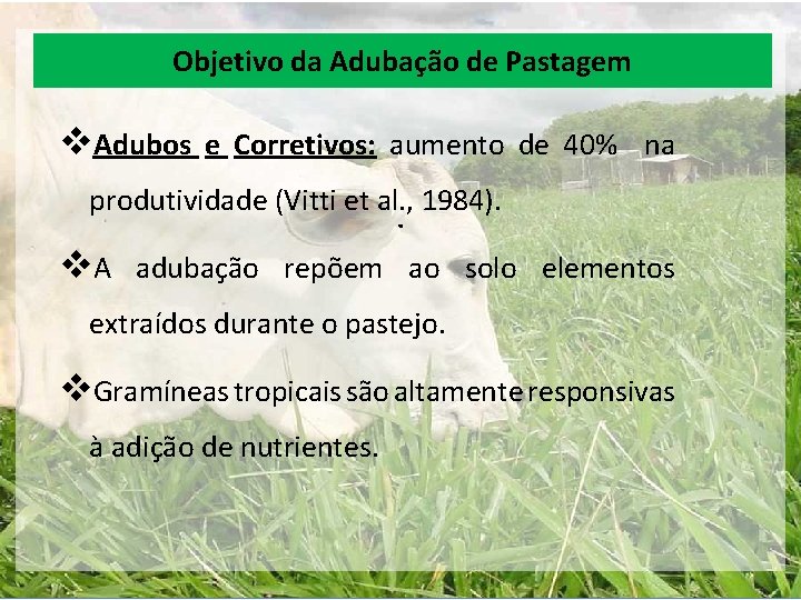 Objetivo da Adubação de Pastagem v. Adubos e Corretivos: aumento de 40% na produtividade