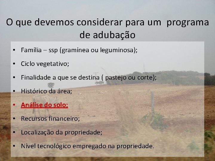 O que devemos considerar para um programa de adubação • Família – ssp (gramínea O que devemos considerar para um programa de adubação • Família – ssp (gramínea