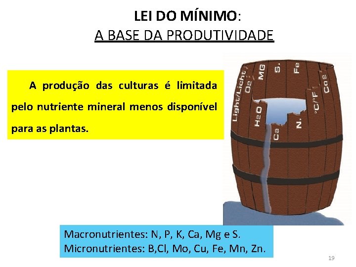 LEI DO MÍNIMO: A BASE DA PRODUTIVIDADE A produção das culturas é limitada pelo