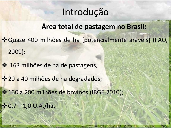 Introdução Área total de pastagem no Brasil: v Quase 400 milhões de ha (potencialmente