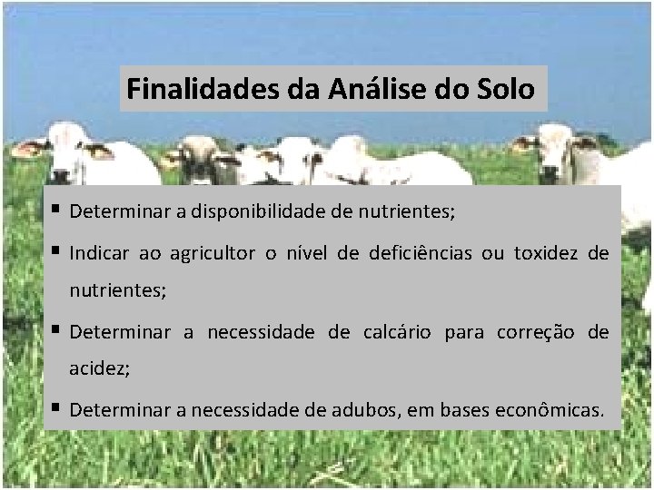 Finalidades da Análise do Solo § Determinar a disponibilidade de nutrientes; § Indicar ao