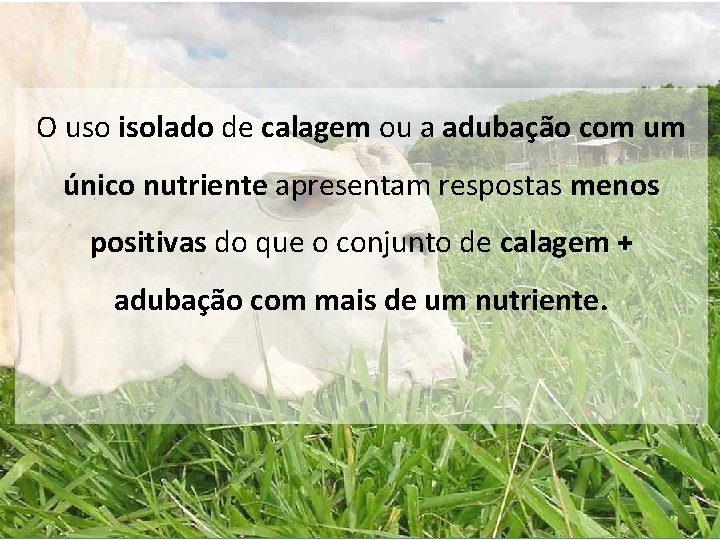 O uso isolado de calagem ou a adubação com um único nutriente apresentam respostas