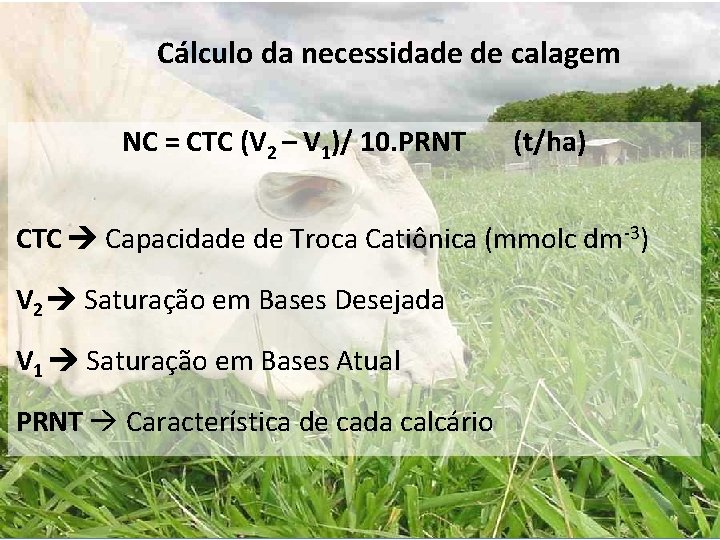 Cálculo da necessidade de calagem NC = CTC (V 2 – V 1)/ 10. Cálculo da necessidade de calagem NC = CTC (V 2 – V 1)/ 10.