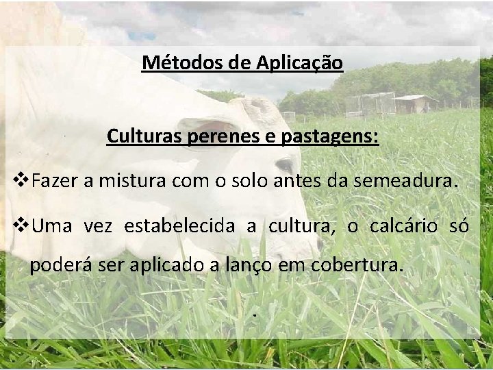 Métodos de Aplicação Culturas perenes e pastagens: v. Fazer a mistura com o solo