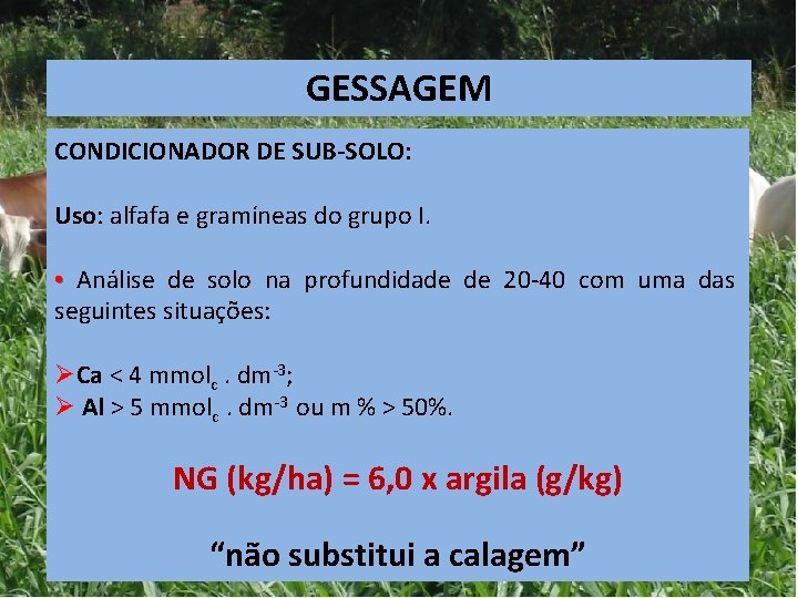 GESSAGEM CONDICIONADOR DE SUB-SOLO: Uso: alfafa e gramíneas do grupo I. • Análise de GESSAGEM CONDICIONADOR DE SUB-SOLO: Uso: alfafa e gramíneas do grupo I. • Análise de