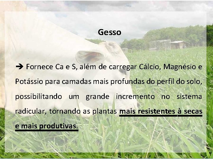 Gesso Fornece Ca e S, além de carregar Cálcio, Magnésio e Potássio para camadas Gesso Fornece Ca e S, além de carregar Cálcio, Magnésio e Potássio para camadas