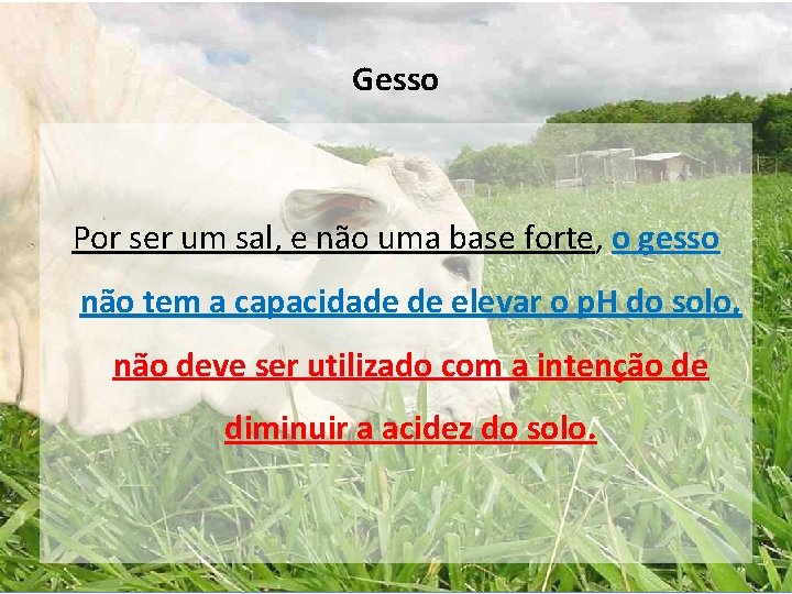 Gesso Por ser um sal, e não uma base forte, o gesso não tem Gesso Por ser um sal, e não uma base forte, o gesso não tem