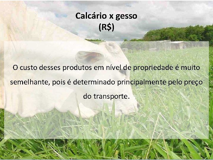 Calcário x gesso (R$) O custo desses produtos em nível de propriedade é muito