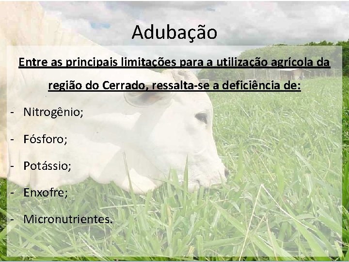 Adubação Entre as principais limitações para a utilização agrícola da região do Cerrado, ressalta-se