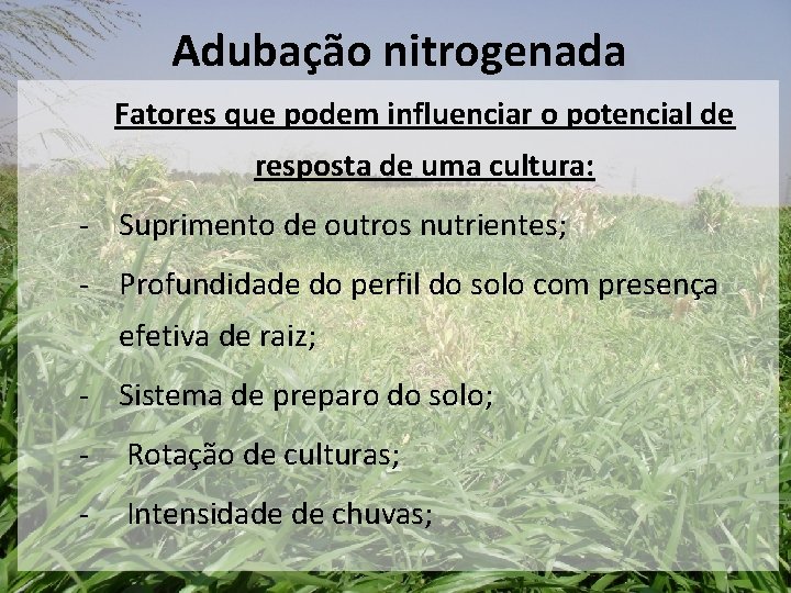 Adubação nitrogenada Fatores que podem influenciar o potencial de resposta de uma cultura: - Adubação nitrogenada Fatores que podem influenciar o potencial de resposta de uma cultura: -