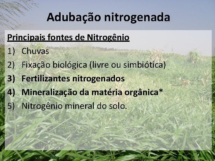 Adubação nitrogenada Principais fontes de Nitrogênio 1) Chuvas 2) Fixação biológica (livre ou simbiótica) Adubação nitrogenada Principais fontes de Nitrogênio 1) Chuvas 2) Fixação biológica (livre ou simbiótica)