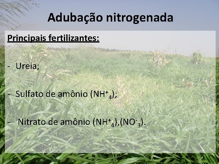 Adubação nitrogenada Principais fertilizantes: - Ureia; - Sulfato de amônio (NH+4); - Nitrato de Adubação nitrogenada Principais fertilizantes: - Ureia; - Sulfato de amônio (NH+4); - Nitrato de