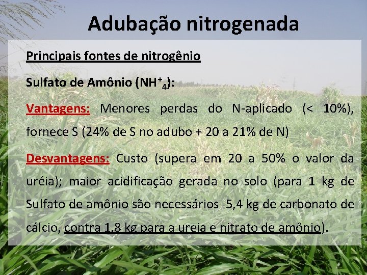 Adubação nitrogenada Principais fontes de nitrogênio Sulfato de Amônio (NH+4): Vantagens: Menores perdas do Adubação nitrogenada Principais fontes de nitrogênio Sulfato de Amônio (NH+4): Vantagens: Menores perdas do