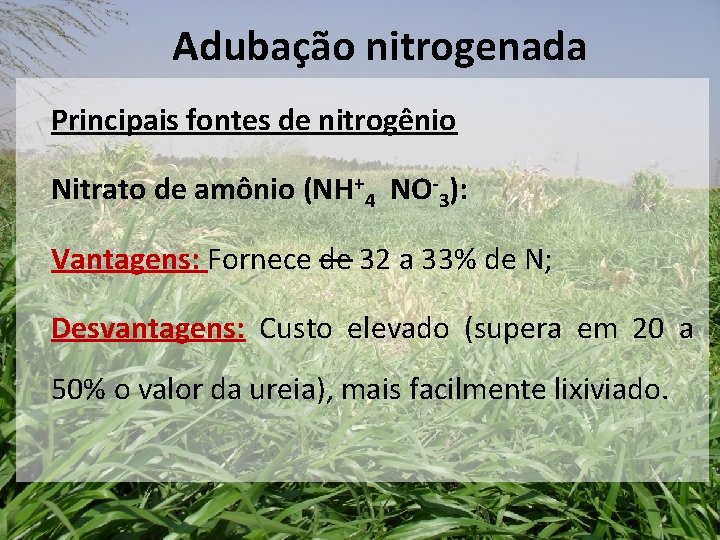 Adubação nitrogenada Principais fontes de nitrogênio Nitrato de amônio (NH+4 NO-3): Vantagens: Fornece de
