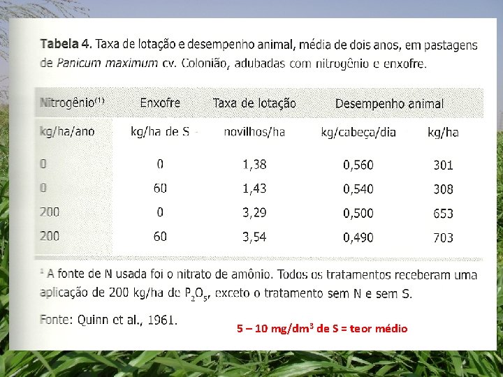 5 – 10 mg/dm 3 de S = teor médio 