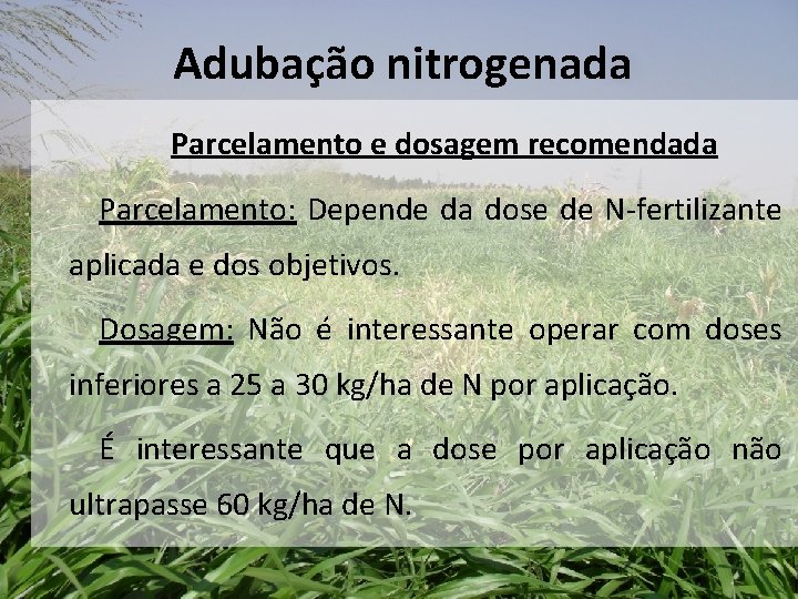 Adubação nitrogenada Parcelamento e dosagem recomendada Parcelamento: Depende da dose de N-fertilizante aplicada e