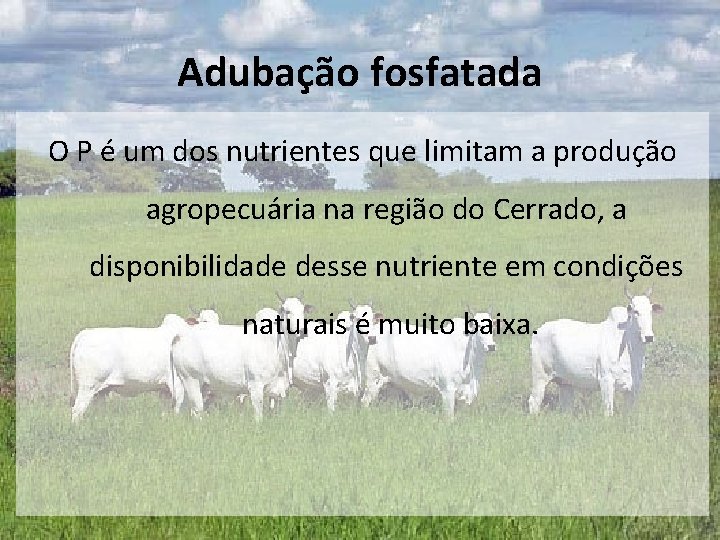 Adubação fosfatada O P é um dos nutrientes que limitam a produção agropecuária na Adubação fosfatada O P é um dos nutrientes que limitam a produção agropecuária na