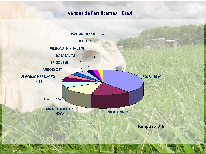 Vendas de Fertilizantes – Brasil Bunge (2006) Vendas de Fertilizantes – Brasil Bunge (2006)