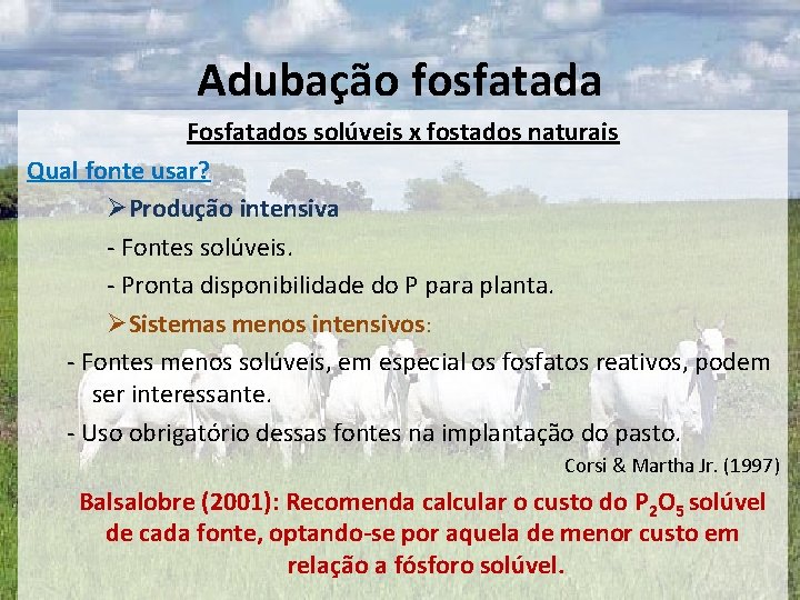 Adubação fosfatada Fosfatados solúveis x fostados naturais Qual fonte usar? ØProdução intensiva - Fontes Adubação fosfatada Fosfatados solúveis x fostados naturais Qual fonte usar? ØProdução intensiva - Fontes
