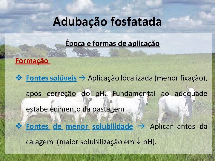 Adubação fosfatada Época e formas de aplicação Formação v Fontes solúveis Aplicação localizada (menor Adubação fosfatada Época e formas de aplicação Formação v Fontes solúveis Aplicação localizada (menor