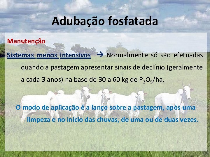 Adubação fosfatada Manutenção Sistemas menos intensivos Normalmente só são efetuadas quando a pastagem apresentar