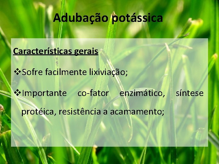 Adubação potássica Características gerais v. Sofre facilmente lixiviação; v. Importante co-fator enzimático, protéica, resistência Adubação potássica Características gerais v. Sofre facilmente lixiviação; v. Importante co-fator enzimático, protéica, resistência