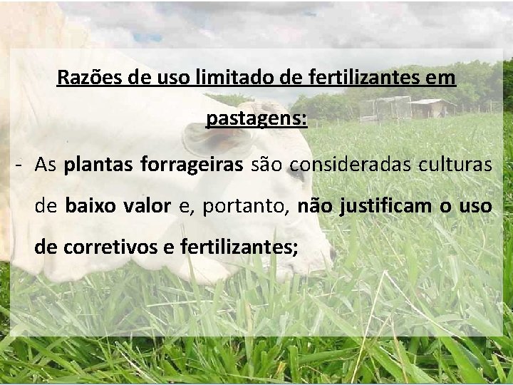 Razões de uso limitado de fertilizantes em pastagens: - As plantas forrageiras são consideradas