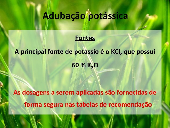 Adubação potássica Fontes A principal fonte de potássio é o KCl, que possui 60 Adubação potássica Fontes A principal fonte de potássio é o KCl, que possui 60