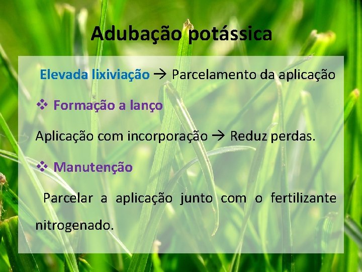 Adubação potássica Elevada lixiviação Parcelamento da aplicação v Formação a lanço Aplicação com incorporação Adubação potássica Elevada lixiviação Parcelamento da aplicação v Formação a lanço Aplicação com incorporação