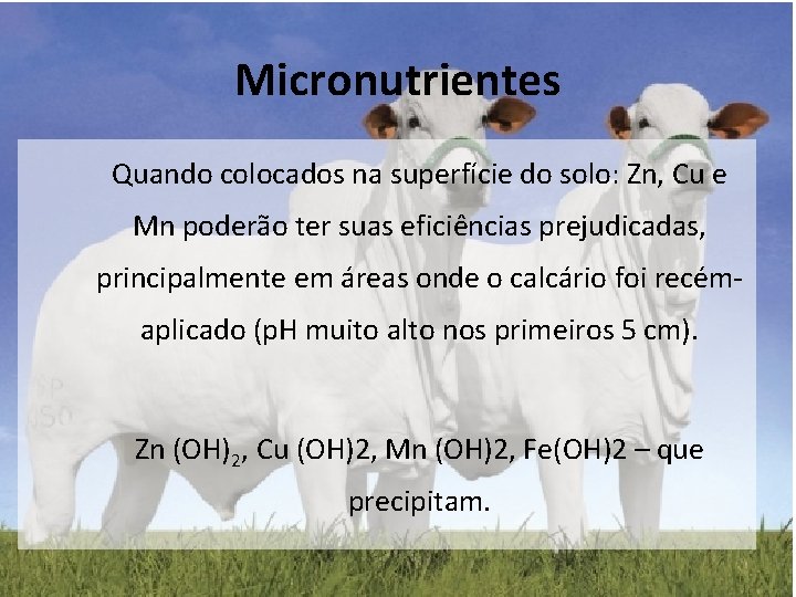 Micronutrientes Quando colocados na superfície do solo: Zn, Cu e Mn poderão ter suas