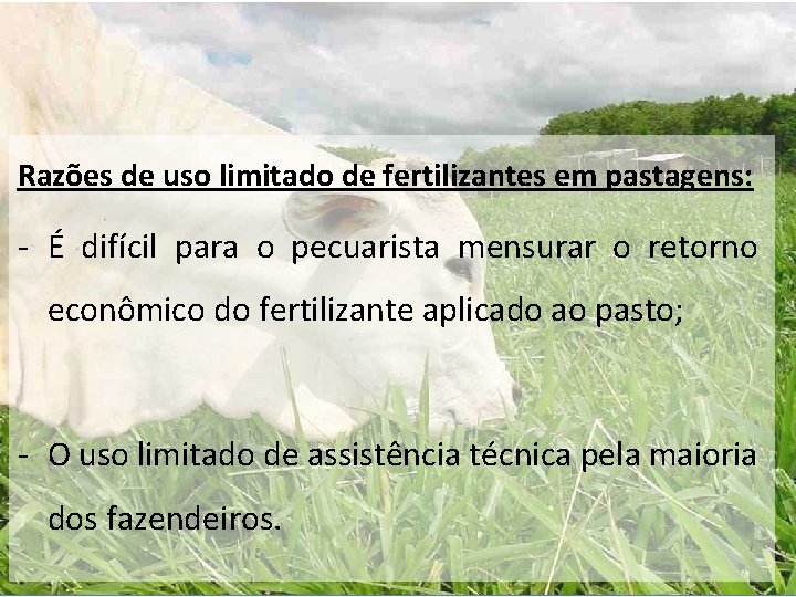 Razões de uso limitado de fertilizantes em pastagens: - É difícil para o pecuarista Razões de uso limitado de fertilizantes em pastagens: - É difícil para o pecuarista