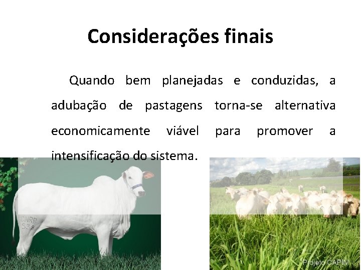 Considerações finais Quando bem planejadas e conduzidas, a adubação de pastagens torna-se alternativa economicamente