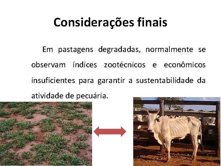 Considerações finais Em pastagens degradadas, normalmente se observam índices zootécnicos e econômicos insuficientes para Considerações finais Em pastagens degradadas, normalmente se observam índices zootécnicos e econômicos insuficientes para