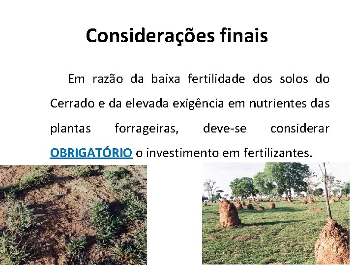 Considerações finais Em razão da baixa fertilidade dos solos do Cerrado e da elevada