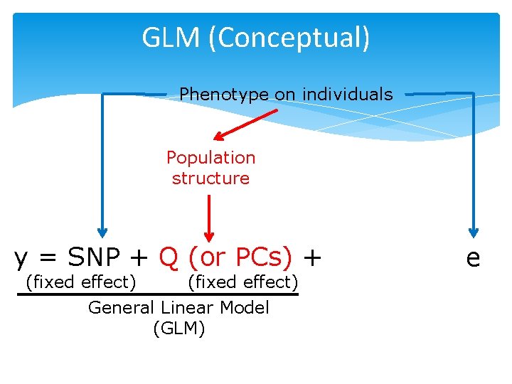 GLM (Conceptual) Phenotype on individuals Population structure y = SNP + Q (or PCs)
