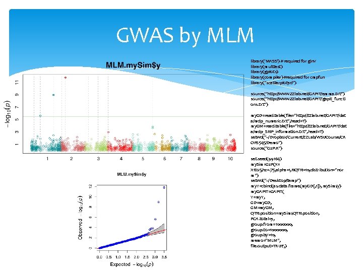 GWAS by MLM library('MASS') # required for ginv library(multtest) library(gplots) library(compiler) #required for cmpfun