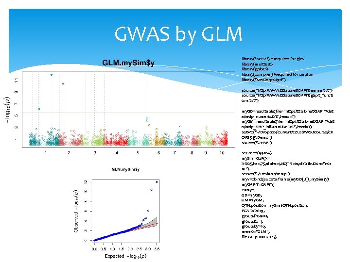 GWAS by GLM library('MASS') # required for ginv library(multtest) library(gplots) library(compiler) #required for cmpfun